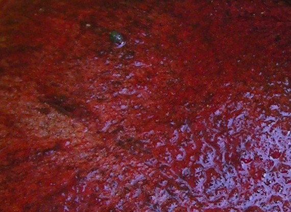 Vediamo quanto  facile...